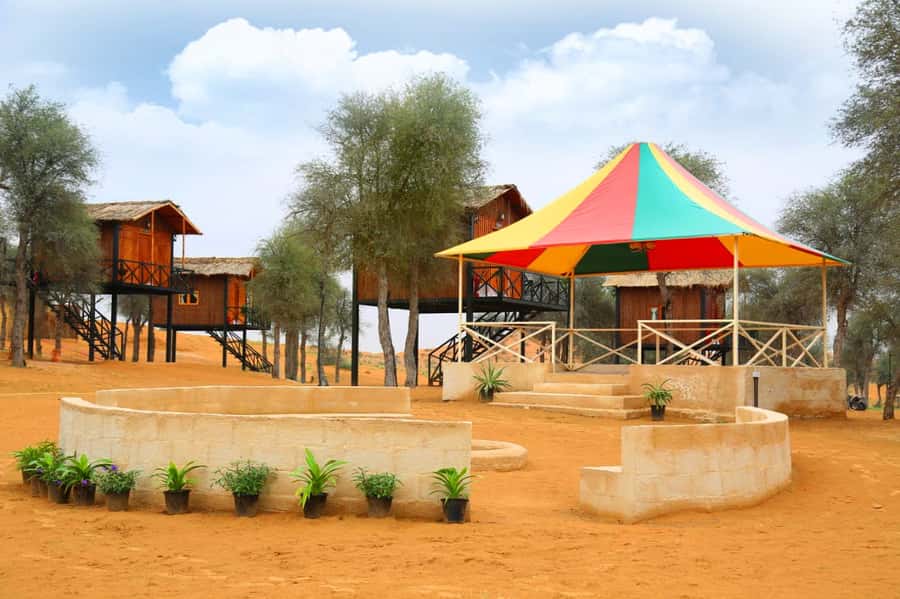 Ras Al Khaimah: Half-Day Desert Safari with Dinner - BBQ dinner, drinks, and what to expect on the plate