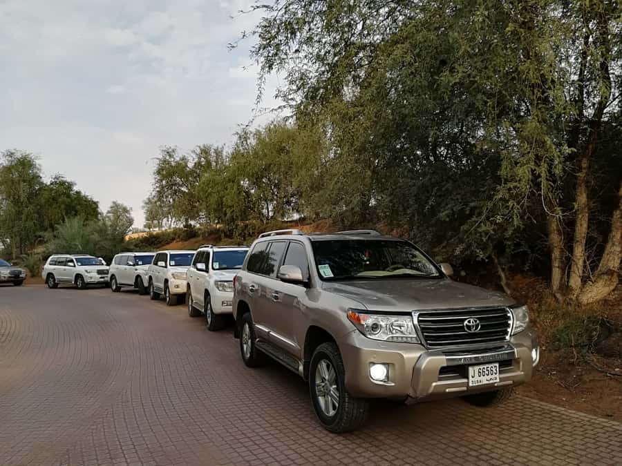 Ras Al Khaimah: Half-Day Desert Safari with Dinner - How to prepare for the afternoon and evening