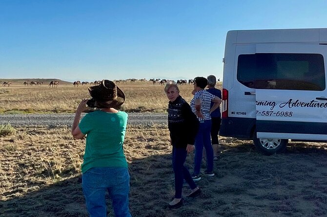 Red Canyon Wild Mustang Tours And Safaris In Cody Wyoming - How much value do you get for $89?