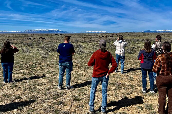 Red Canyon Wild Mustang Tours And Safaris In Cody Wyoming - Group size, access, and practical details