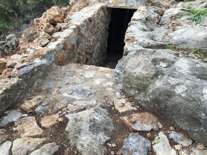Rethymno 4x4 Safari: Tastes & Farm Experience - Who should book this experience