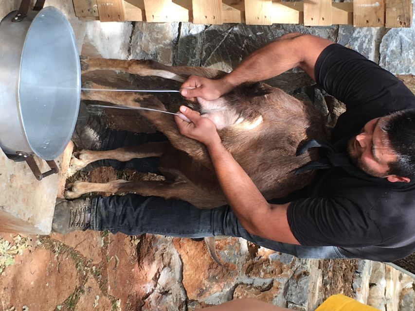 Rethymno 4x4 Safari: Tastes & Farm Experience - Why this 4x4 day feels different from a normal Crete tour