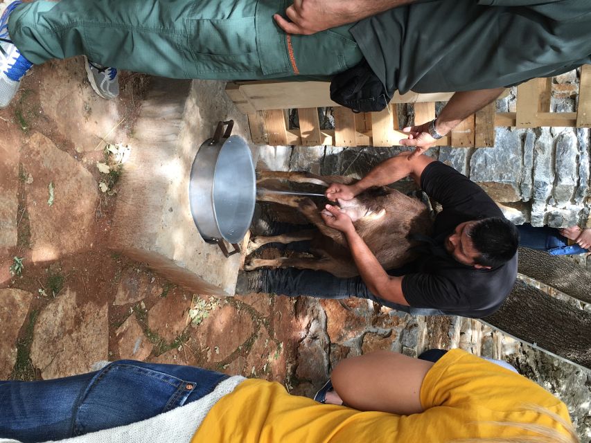 Rethymno 4x4 Safari: Tastes & Farm Experience - Melidoni turns olive oil into a story