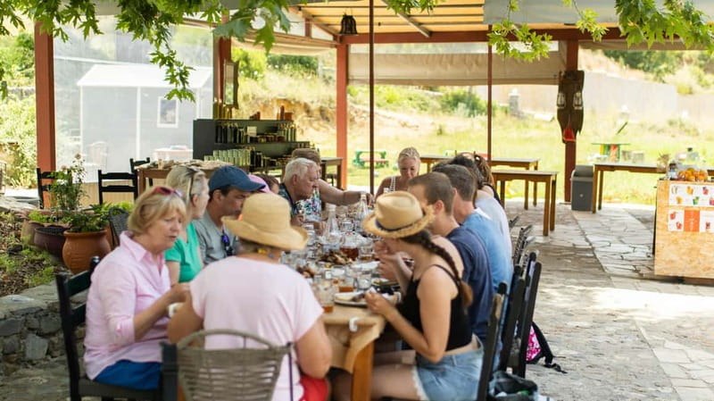 Rethymno: Full-Day Land Rover Safari to Preveli - Kourtaliotiko Gorge and the wild side of the route