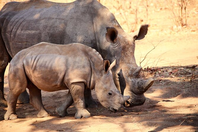 Rhino Game Drive - Entering Mosi-Oa-Tunya National Park from Livingstone