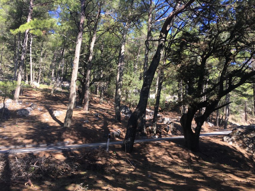 Rhodes: Full–Day 4WD Northern Safari Tour - Why this Rhodes safari feels different