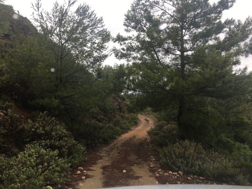 Rhodes: Full–Day 4WD Northern Safari Tour - The easier road back to your hotel