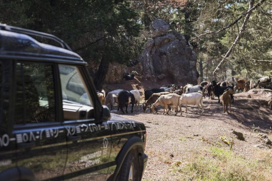 Rhodes: Full-Day 4WD Southern Safari Tour - Key points at a glance