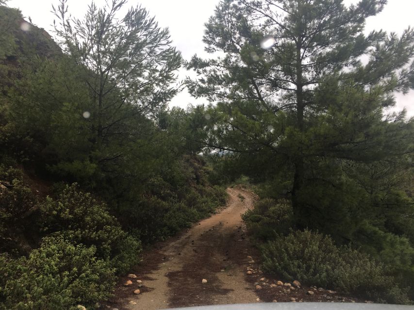 Rhodes: Full-Day 4WD Southern Safari Tour - Is the $159 price fair?