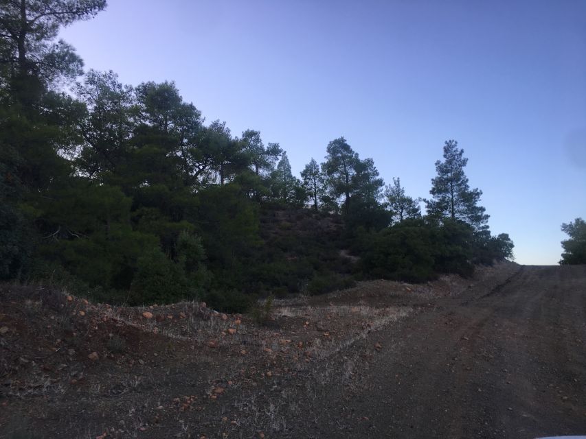 Rhodes: Full-Day 4WD Southern Safari Tour - The rough tracks through Agios Isidoros