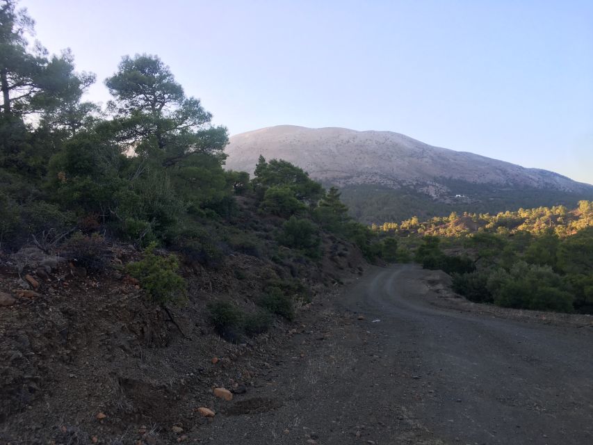 Rhodes: Full-Day 4WD Southern Safari Tour - Koufou Forest and the Aegean view