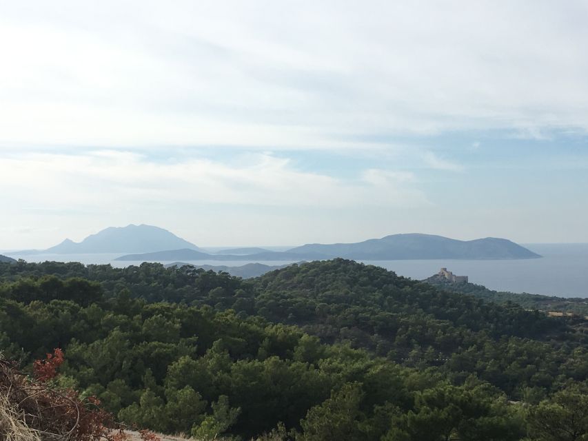 Rhodes: Full-Day 4WD Southern Safari Tour - Who should book this 4x4 day?