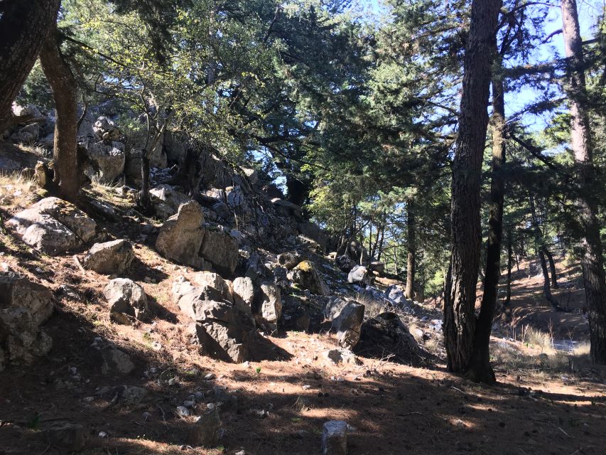 Rhodes North Safari: Hidden Paths & Scenic Flavors - Key points at a glance