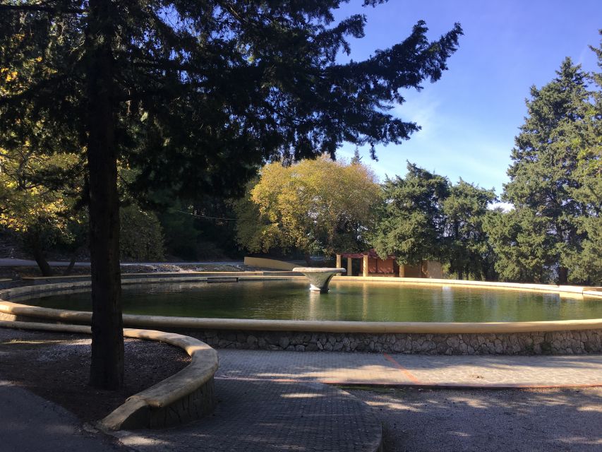 Rhodes North Safari: Hidden Paths & Scenic Flavors - Platania lunch, with time to slow down