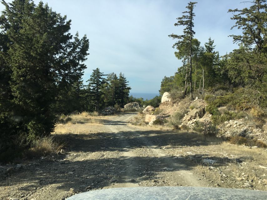 Rhodes North Safari: Hidden Paths & Scenic Flavors - What the 7.5-hour day feels like