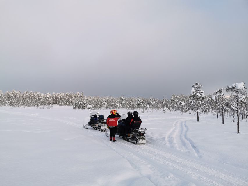 Rovaniemi: 3-Hour Snowmobile Safari in Lapland - Winter clothing helps, but dress with care