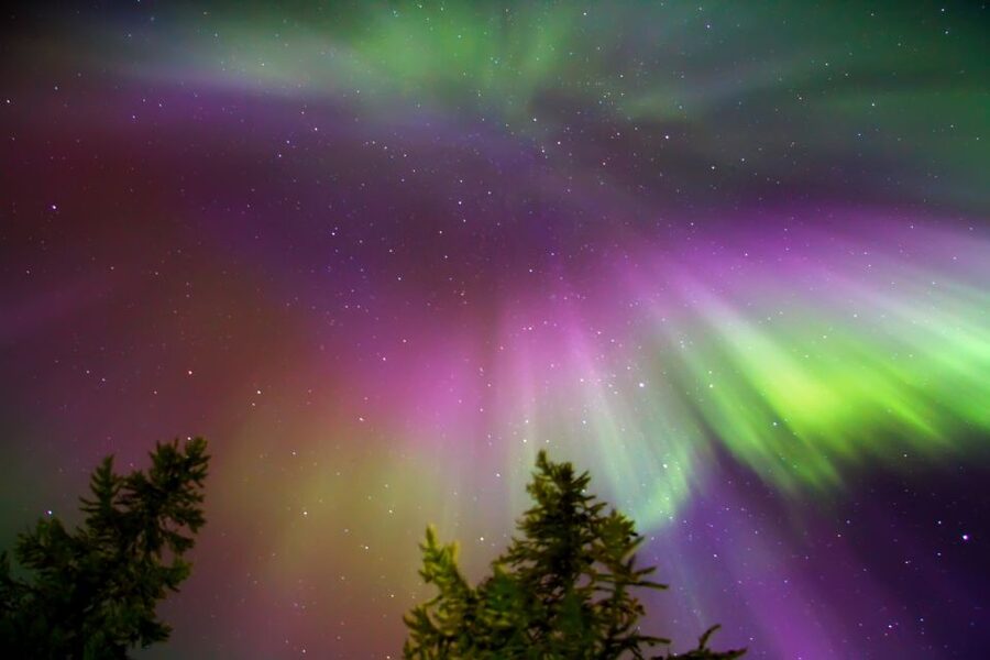 Rovaniemi: Aurora Borealis Snowmobile Safari with Campfire - Should you book it?