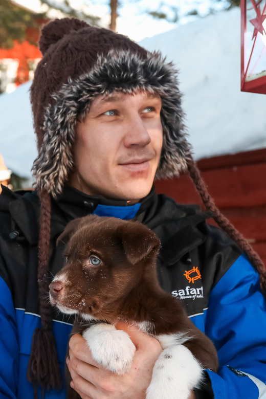 Rovaniemi: Daytime Husky Safari - Key points to know before booking