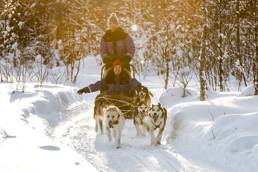 Rovaniemi: Daytime Husky Safari - Learning to drive your own team