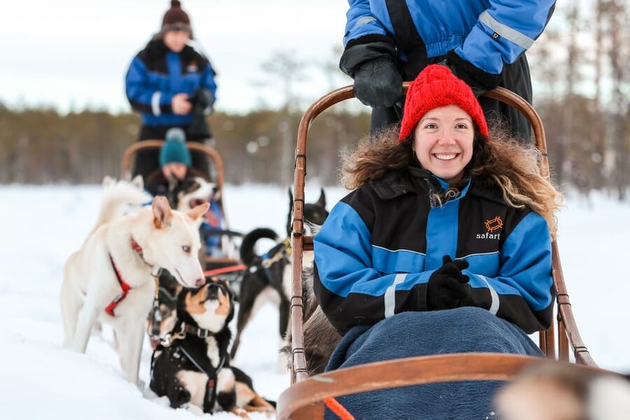 Rovaniemi: Daytime Husky Safari - Hot drinks, biscuits, and the warm-up tent