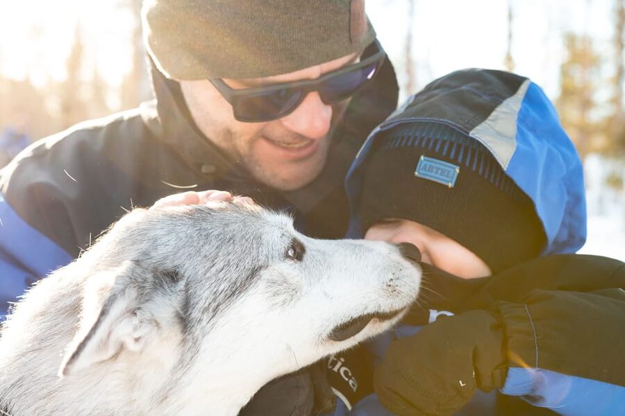 Rovaniemi: Daytime Husky Safari - Is $209 a fair price?