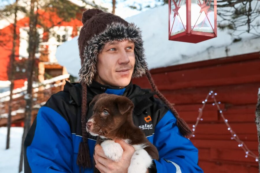 Rovaniemi: Daytime Husky Safari - From Rovaniemi pickup to the kennel