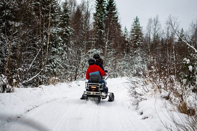 Rovaniemi: Drive New 2025 Snowmobiles on Arctic Safari & BBQ - Quick points to know