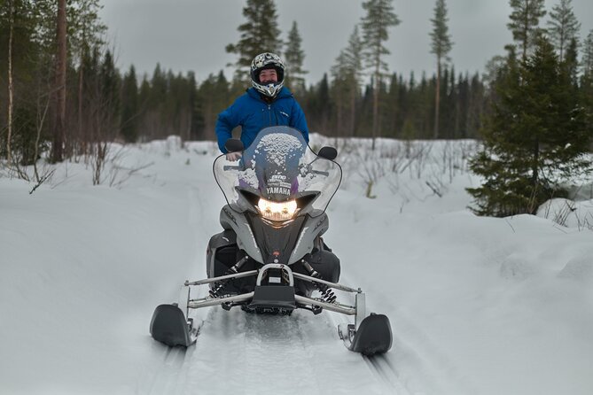 Rovaniemi: Drive New 2025 Snowmobiles on Arctic Safari & BBQ - From Valtakatu 26 to the Arctic trailhead