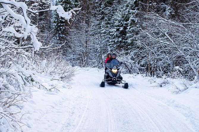 Rovaniemi: Drive New 2025 Snowmobiles on Arctic Safari & BBQ - Forest tracks, open tundra, and a frozen lake