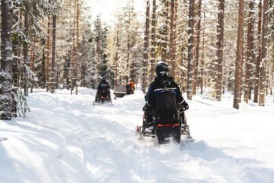 Easy Snowmobile Safari