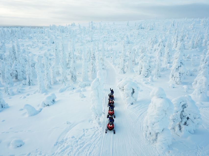 Rovaniemi: Full-Day Snowmobile Safari into the Wilderness - Key points before you book