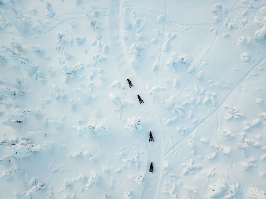 Rovaniemi: Full-Day Snowmobile Safari into the Wilderness - Frozen lakes, rivers, and quiet forest tracks