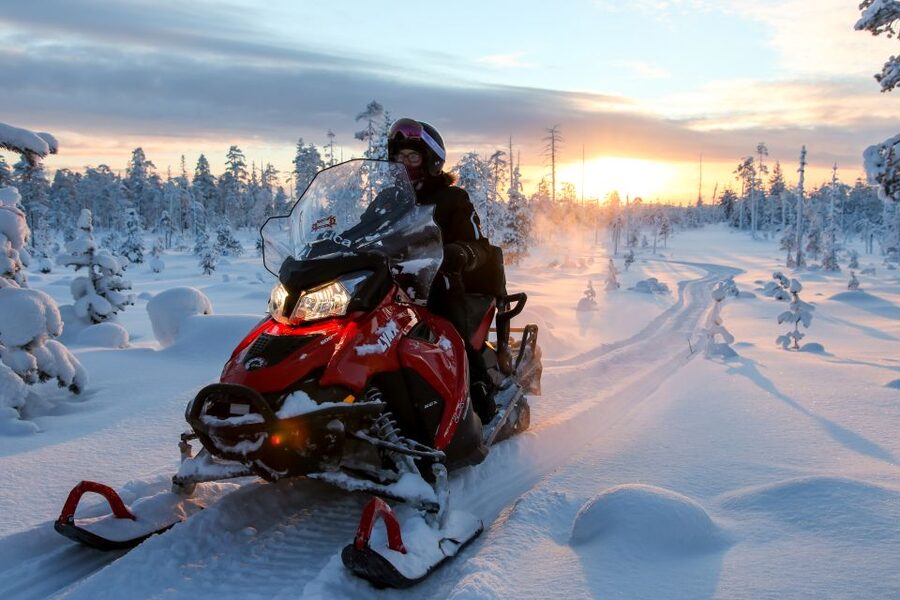 Rovaniemi: Full-Day Snowmobile Safari into the Wilderness - The real cost of the €293 price