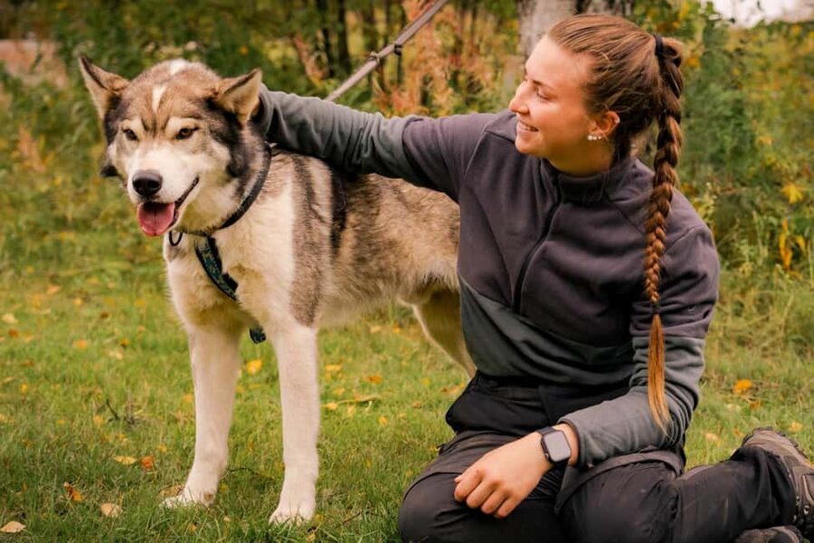 Rovaniemi: Husky Safari & Campfire BBQ – 6‑10 km Self‑Drive - Forest views and possible wildlife sightings