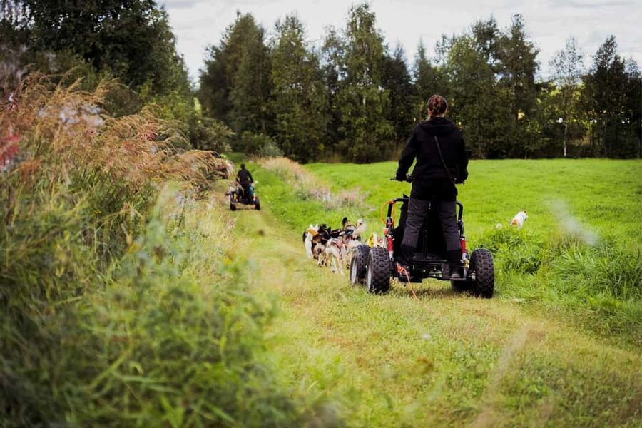 Rovaniemi: Husky Safari & Campfire BBQ – 6‑10 km Self‑Drive - The campfire BBQ at the end