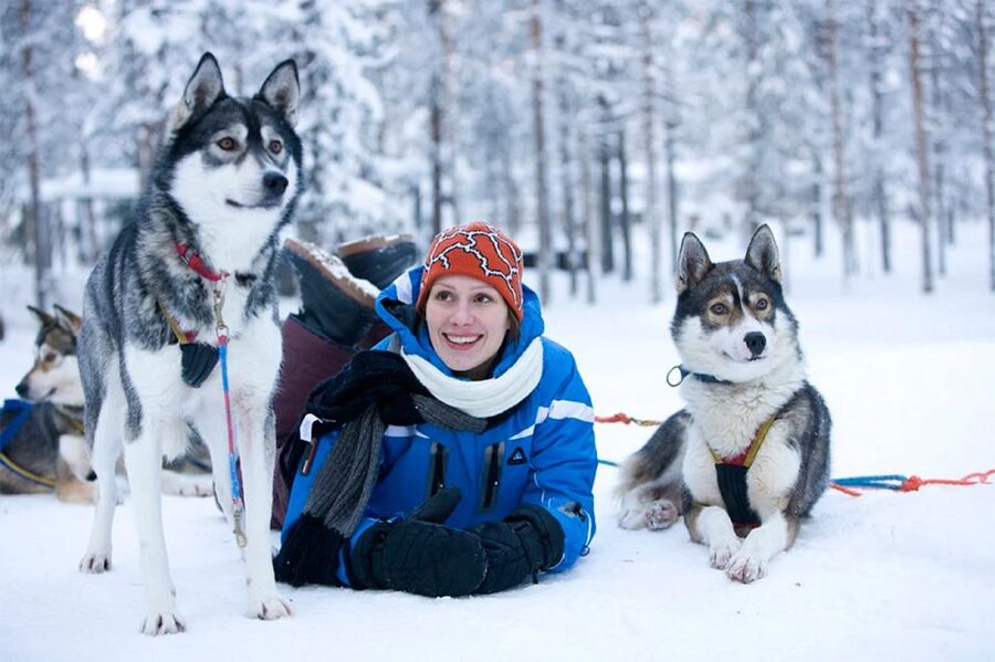 Rovaniemi: Husky Safari on a Snowy Trail - The farm visit and warm Finnish snacks