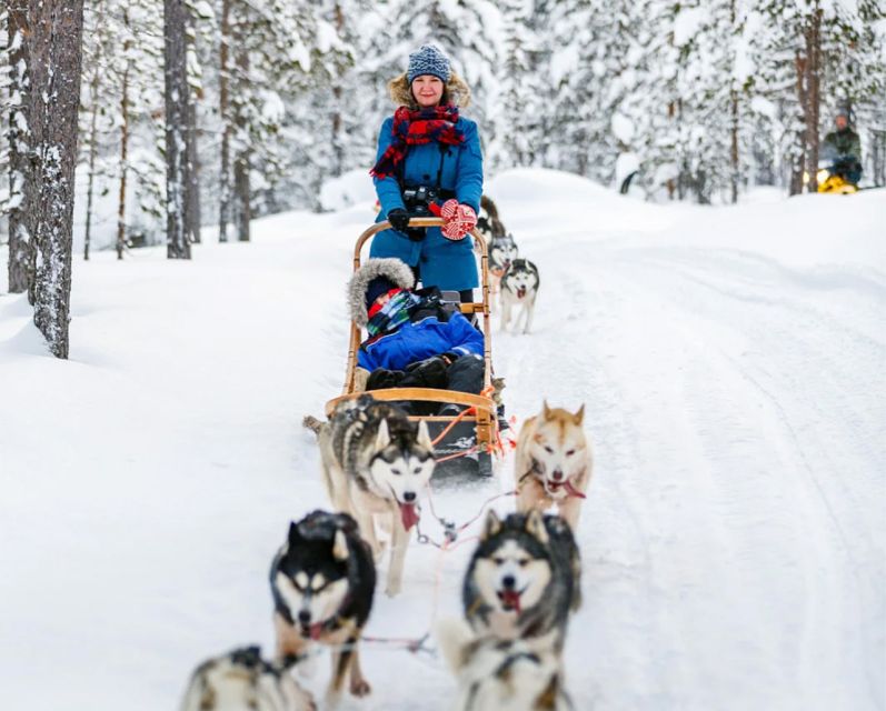 Rovaniemi: Husky Safari on a Snowy Trail - How much value do you get for $269?