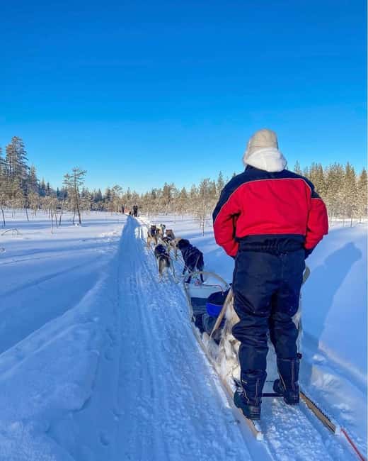 Rovaniemi: Husky Safari with Transfers & BBQ - Why driving your own husky sled matters