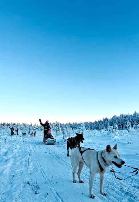 Rovaniemi: Husky Safari with Transfers & BBQ - Suiting up in winter gear