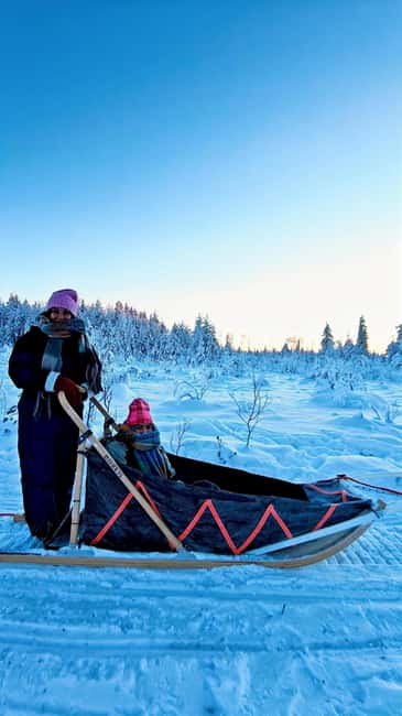 Rovaniemi: Husky Safari with Transfers & BBQ - Meeting the dogs before the run