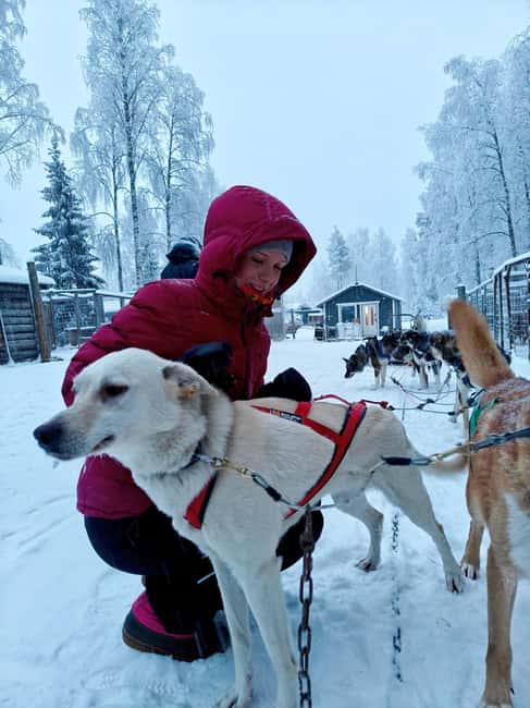 Rovaniemi: Husky Safari with Transfers & BBQ - The safety briefing and sled lesson