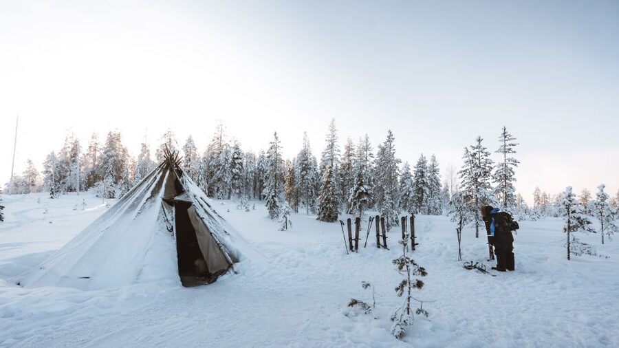 Rovaniemi: Lapland Ski Trekking Safari - What the scenery adds to the experience