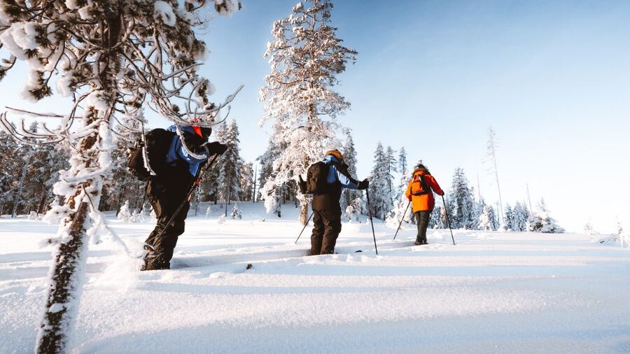 Rovaniemi: Lapland Ski Trekking Safari - Is $128 good value for four hours?
