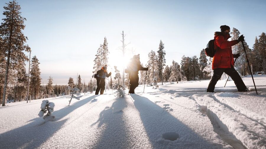 Rovaniemi: Lapland Ski Trekking Safari - Learning to use the skis in fresh snow