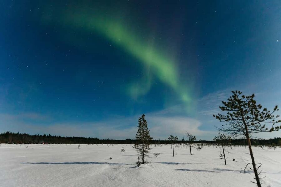 Rovaniemi: Northern Lights Family-Friendly Snowmobile Safari - Sharing a snowmobile, or paying to ride alone