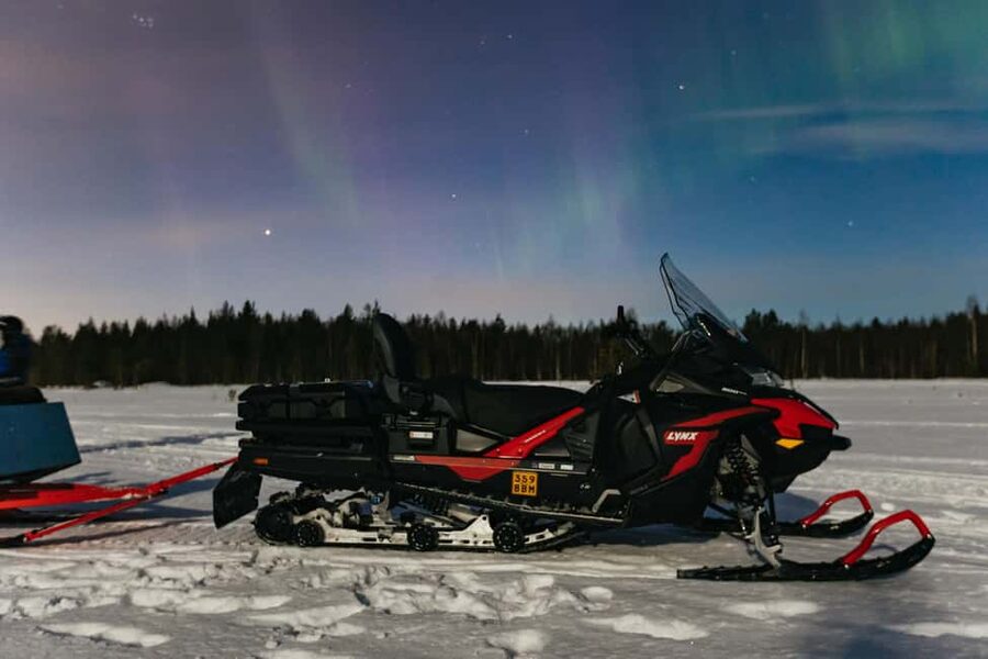 Rovaniemi: Northern Lights Family-Friendly Snowmobile Safari - Clothing, cold, and what you really need
