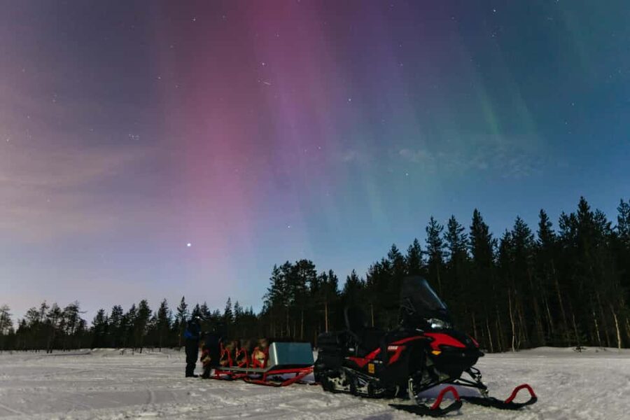 Rovaniemi: Northern Lights Family-Friendly Snowmobile Safari - Why the sleigh makes this a good choice with children
