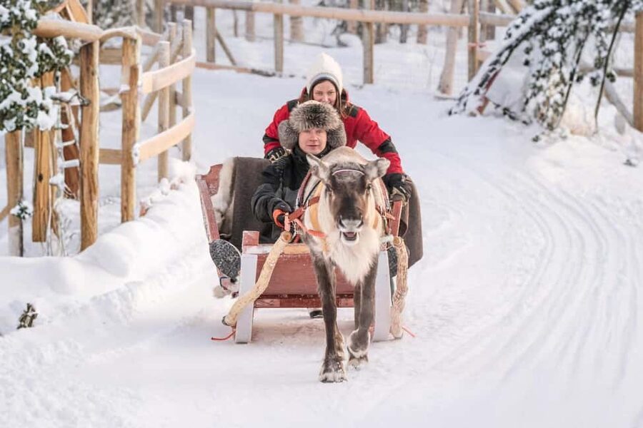 Rovaniemi: Reindeer Safari at 200-Year-Old Farm & Sled Ride - Why this farm visit feels different from a standard safari