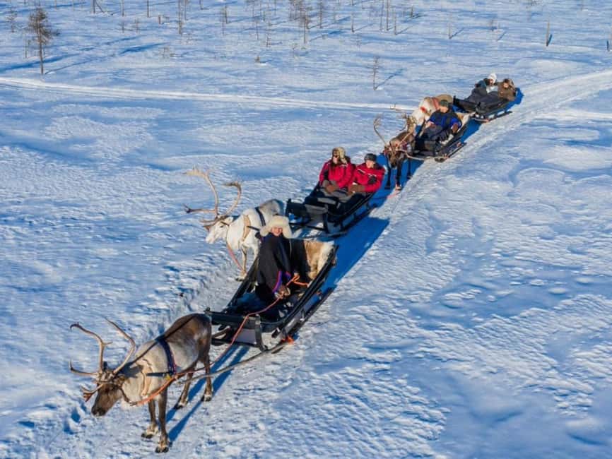 Rovaniemi: Reindeer Safari at 200-Year-Old Farm & Sled Ride - The 2.5 km ride through silent forest