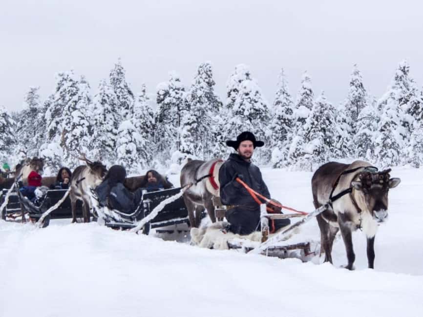 Rovaniemi: Reindeer Safari at 200-Year-Old Farm & Sled Ride - Who should book this experience